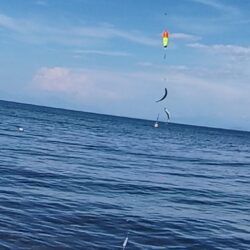 琵琶湖志賀浜小鮎釣り